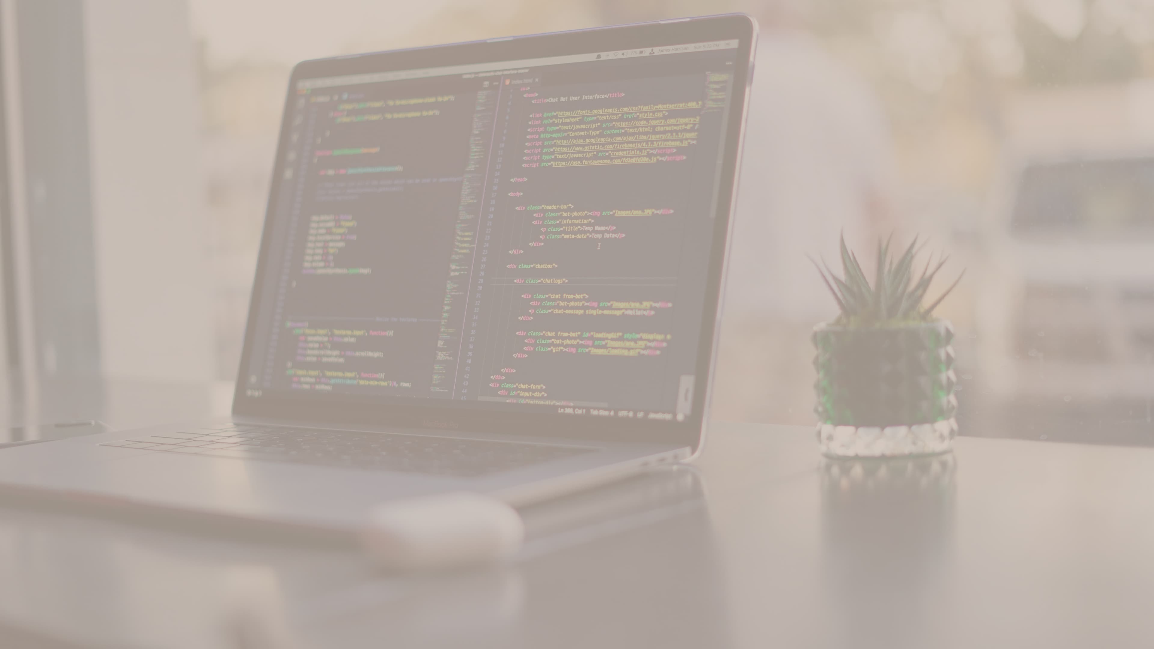 Sara Acevedo - Front End Developer